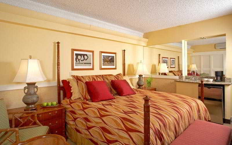 Equus Hotel Honolulu Bilik gambar