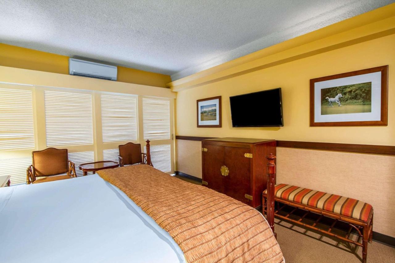 Equus Hotel Honolulu Luaran gambar